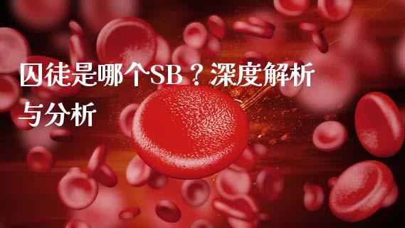 囚徒是哪个SB？深度解析与分析_https://wap.langutaoci.com_今日财经_第1张