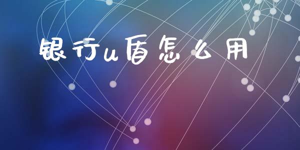 银行u盾怎么用_https://wap.langutaoci.com_债券基金_第1张