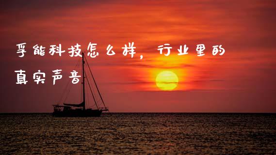 孚能科技怎么样，行业里的真实声音_https://wap.langutaoci.com_货币市场_第1张