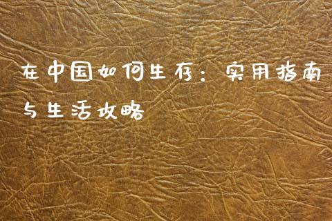 在中国如何生存:实用指南与生活攻略_今日财经_第1张_今日财经_货币市场_期货行情_金融服务_外汇论坛_债券基金 在中国如何生存:实用指南与生活攻略_https://wap.langutaoci.com_今日财经_第1张