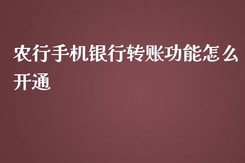 农行手机银行转账功能怎么开通_https://wap.langutaoci.com_债券基金_第1张