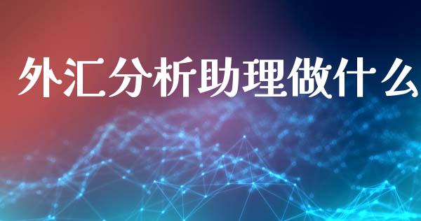 外汇分析助理做什么_https://wap.langutaoci.com_今日财经_第1张