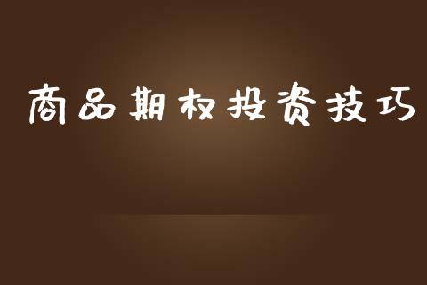 商品期权投资技巧_https://wap.langutaoci.com_债券基金_第1张