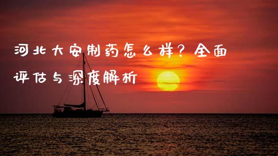 河北大安制药怎么样？全面评估与深度解析_https://wap.langutaoci.com_货币市场_第1张