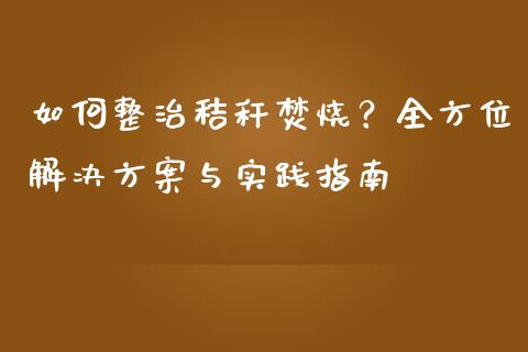 如何整治秸秆焚烧？全方位解决方案与实践指南_https://wap.langutaoci.com_今日财经_第1张