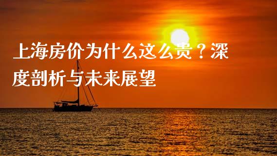 上海房价为什么这么贵？深度剖析与未来展望_https://wap.langutaoci.com_货币市场_第1张