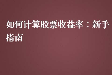 如何计算股票收益率：新手指南_https://wap.langutaoci.com_货币市场_第1张