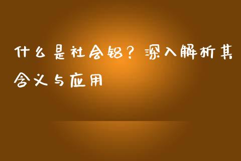 什么是社会铝？深入解析其含义与应用_https://wap.langutaoci.com_今日财经_第1张