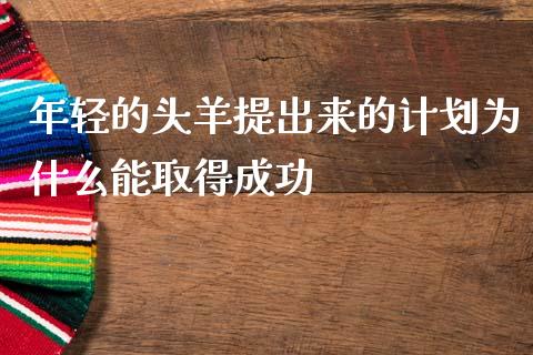 年轻的头羊提出来的计划为什么能取得成功_https://wap.langutaoci.com_债券基金_第1张