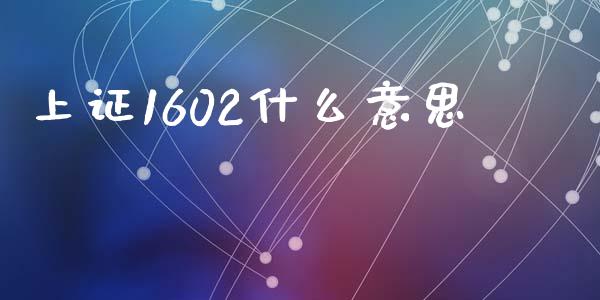 上证1602什么意思_https://wap.langutaoci.com_期货行情_第1张