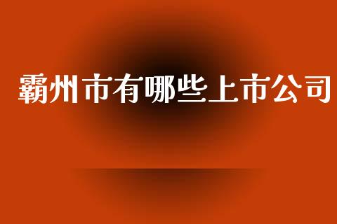 霸州市有哪些上市公司_https://wap.langutaoci.com_债券基金_第1张