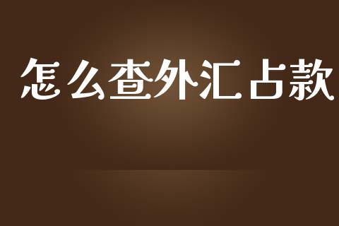 怎么查外汇占款_https://wap.langutaoci.com_外汇论坛_第1张