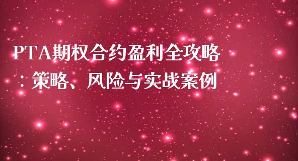 PTA期权合约盈利全攻略：策略、风险与实战案例_https://wap.langutaoci.com_金融服务_第1张