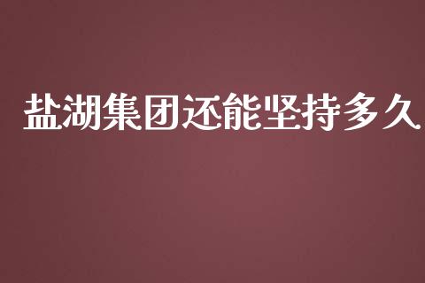 盐湖集团还能坚持多久_https://wap.langutaoci.com_期货行情_第1张