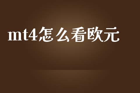 mt4怎么看欧元_https://wap.langutaoci.com_货币市场_第1张