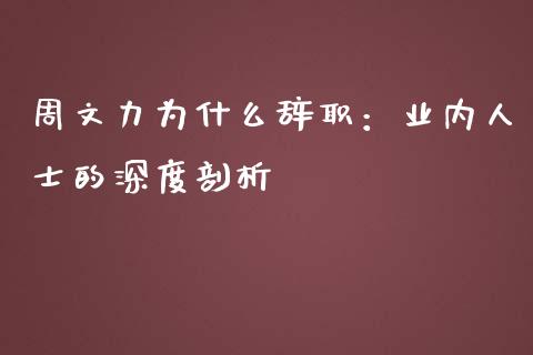 周文力为什么辞职：业内人士的深度剖析_https://wap.langutaoci.com_金融服务_第1张