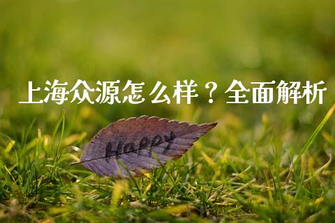 上海众源怎么样？全面解析_https://wap.langutaoci.com_债券基金_第1张