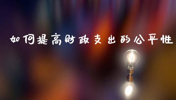 如何提高财政支出的公平性_https://wap.langutaoci.com_债券基金_第1张