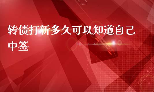 转债打新多久可以知道自己中签_https://wap.langutaoci.com_债券基金_第1张