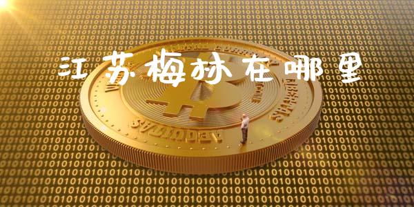 江苏梅林在哪里_https://wap.langutaoci.com_外汇论坛_第1张