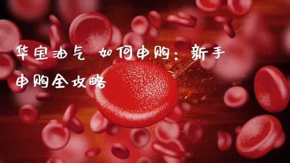 华宝油气 如何申购：新手申购全攻略_https://wap.langutaoci.com_货币市场_第1张