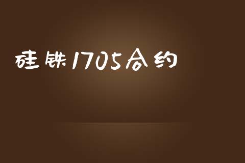 硅铁1705合约_https://wap.langutaoci.com_货币市场_第1张