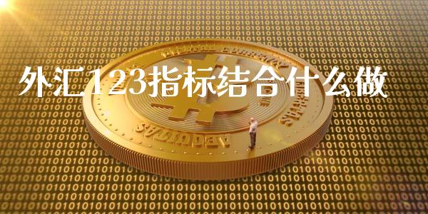 外汇123指标结合什么做_https://wap.langutaoci.com_货币市场_第1张