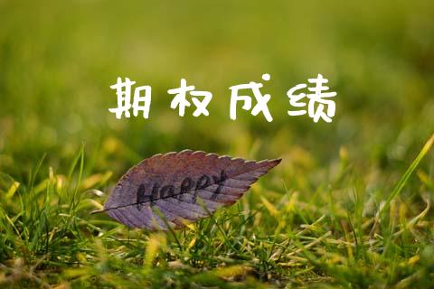 期权成绩_https://wap.langutaoci.com_今日财经_第1张