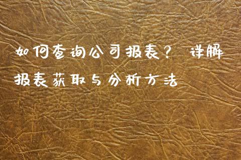 如何查询公司报表？ 详解报表获取与分析方法_https://wap.langutaoci.com_金融服务_第1张