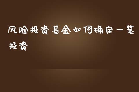 风险投资基金如何确定一笔投资_https://wap.langutaoci.com_债券基金_第1张