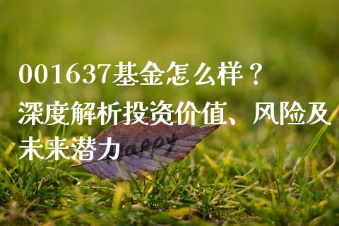 001637基金怎么样？深度解析投资价值、风险及未来潜力_https://wap.langutaoci.com_外汇论坛_第1张