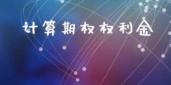 计算期权权利金_https://wap.langutaoci.com_金融服务_第1张