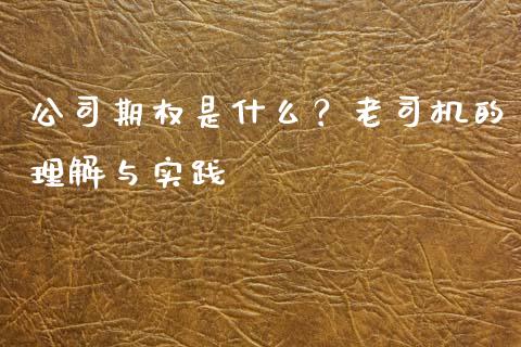 公司期权是什么？老司机的理解与实践_https://wap.langutaoci.com_外汇论坛_第1张