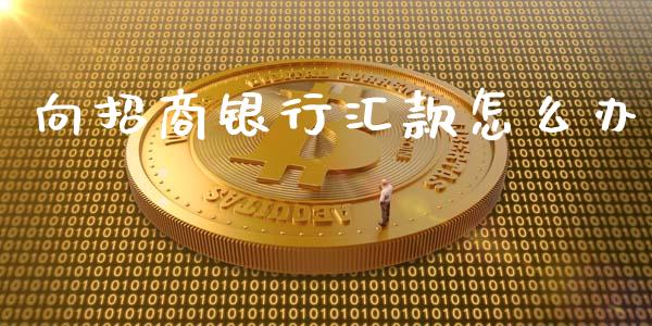 向招商银行汇款怎么办_https://wap.langutaoci.com_金融服务_第1张