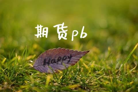 期货pb_https://wap.langutaoci.com_期货行情_第1张