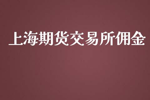 上海期货交易所佣金_https://wap.langutaoci.com_货币市场_第1张