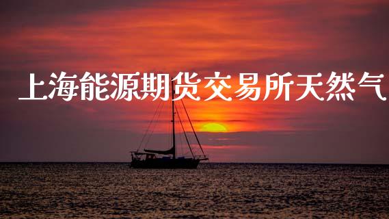 上海能源期货交易所天然气_https://wap.langutaoci.com_期货行情_第1张