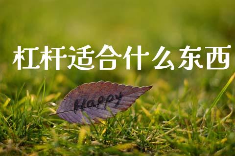 杠杆适合什么东西_https://wap.langutaoci.com_金融服务_第1张