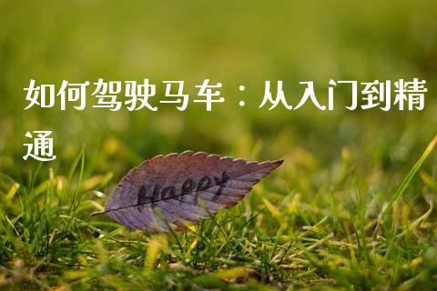 如何驾驶马车：从入门到精通_https://wap.langutaoci.com_货币市场_第1张
