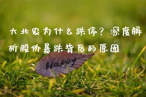 大北农为什么跌停？深度解析股价暴跌背后的原因_https://wap.langutaoci.com_金融服务_第1张