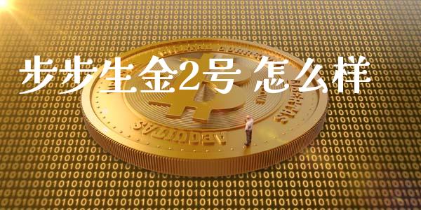 步步生金2号 怎么样_https://wap.langutaoci.com_债券基金_第1张