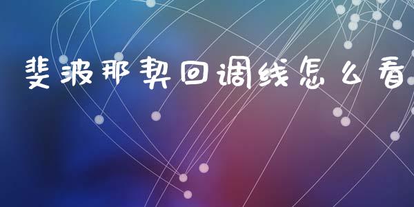 斐波那契回调线怎么看_https://wap.langutaoci.com_金融服务_第1张