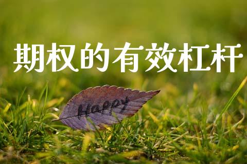 期权的有效杠杆_https://wap.langutaoci.com_货币市场_第1张