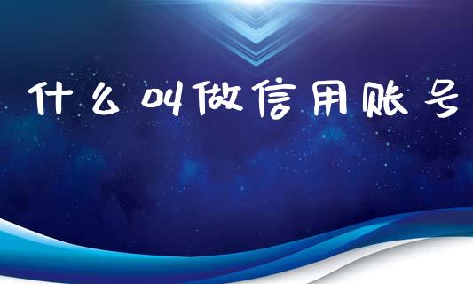 什么叫做信用账号_https://wap.langutaoci.com_金融服务_第1张