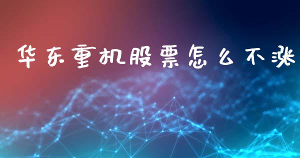 华东重机股票怎么不涨_https://wap.langutaoci.com_今日财经_第1张