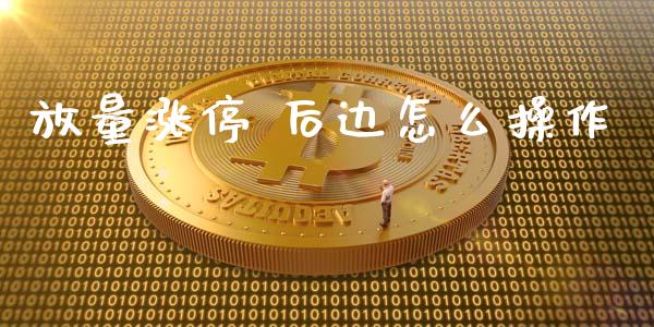 放量涨停 后边怎么操作_https://wap.langutaoci.com_今日财经_第1张