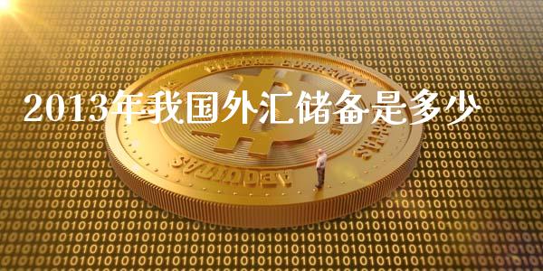 2013年我国外汇储备是多少_https://wap.langutaoci.com_外汇论坛_第1张