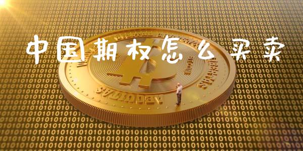 中国期权怎么买卖_https://wap.langutaoci.com_今日财经_第1张