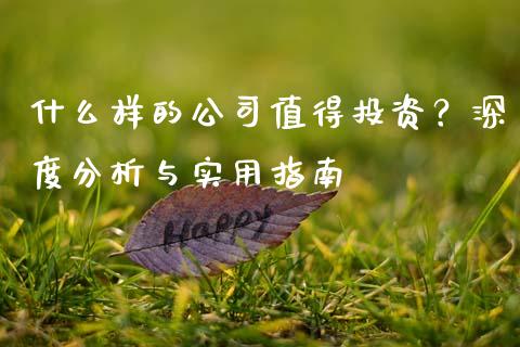 什么样的公司值得投资？深度分析与实用指南_https://wap.langutaoci.com_今日财经_第1张