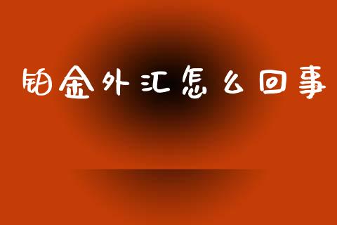 铂金外汇怎么回事_https://wap.langutaoci.com_债券基金_第1张